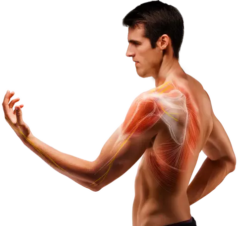 shoulder and Backpain Springlife medical Rf spring2