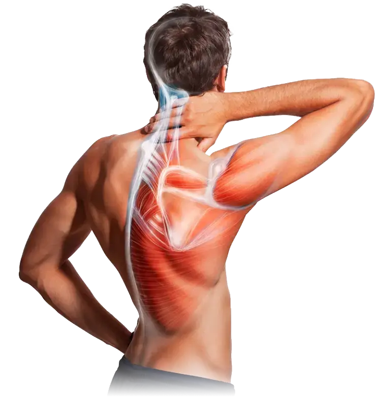 Backpain Spring2 Springlife